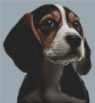 Beagle 5 (image for) Beagle 5